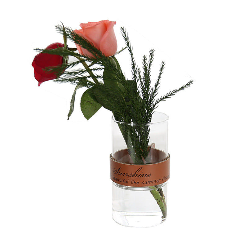 Nordic Simple Transparent Flower Vase, Dried Flower Hydroponic Plant Vase Decoration